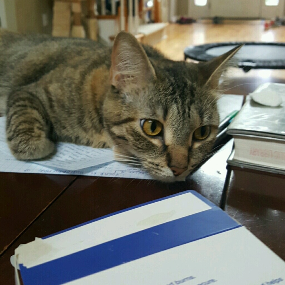 Meet your Posher, Joyc